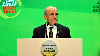 Şimşek: Enerji Sübvansiyonları Yüksek!